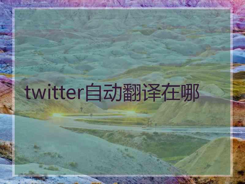 twitter自动翻译在哪