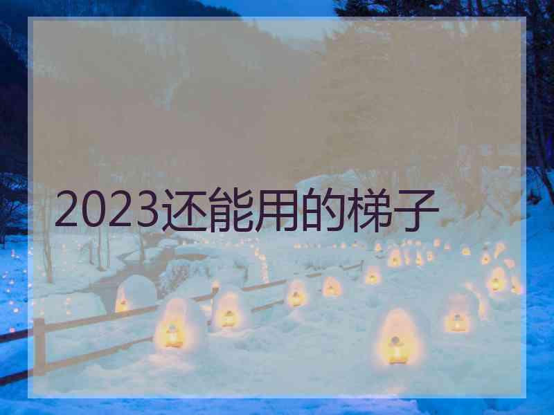 2023还能用的梯子