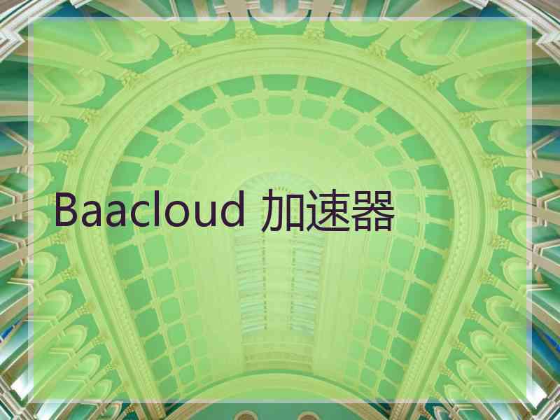 Baacloud 加速器