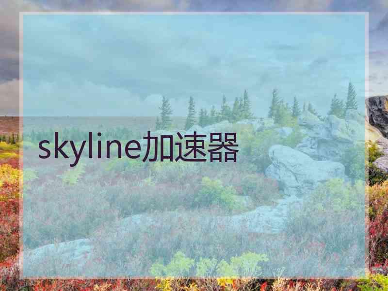 skyline加速器