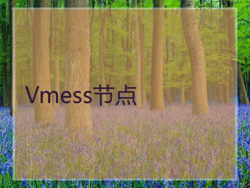 Vmess节点