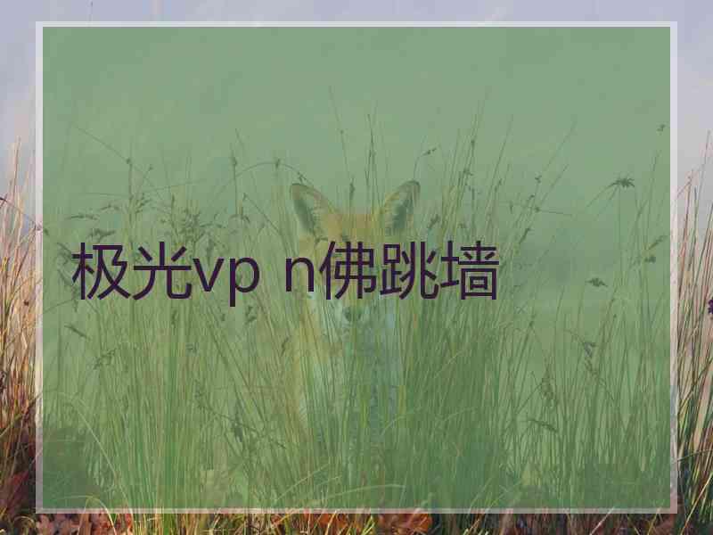 极光vp n佛跳墙