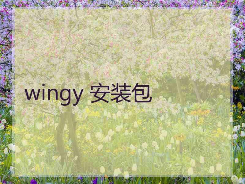 wingy 安装包