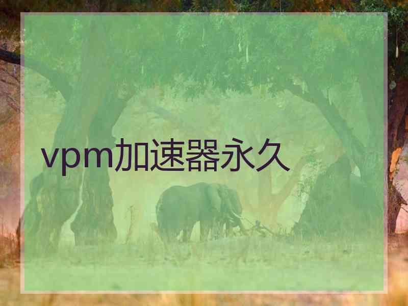 vpm加速器永久