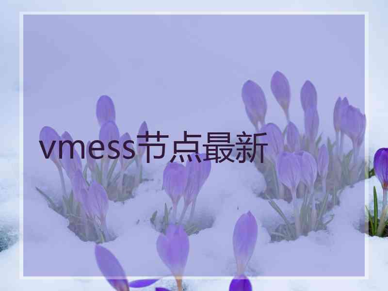 vmess节点最新