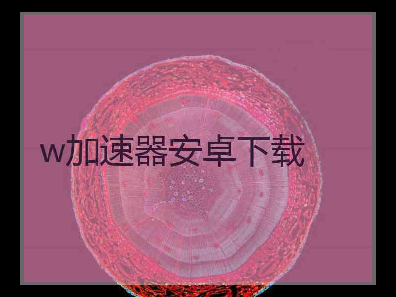 w加速器安卓下载