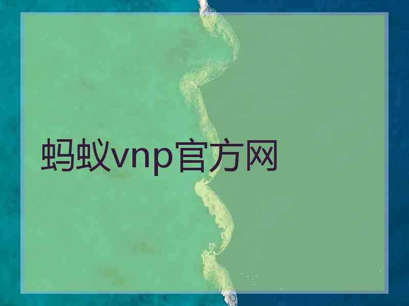 蚂蚁vnp官方网