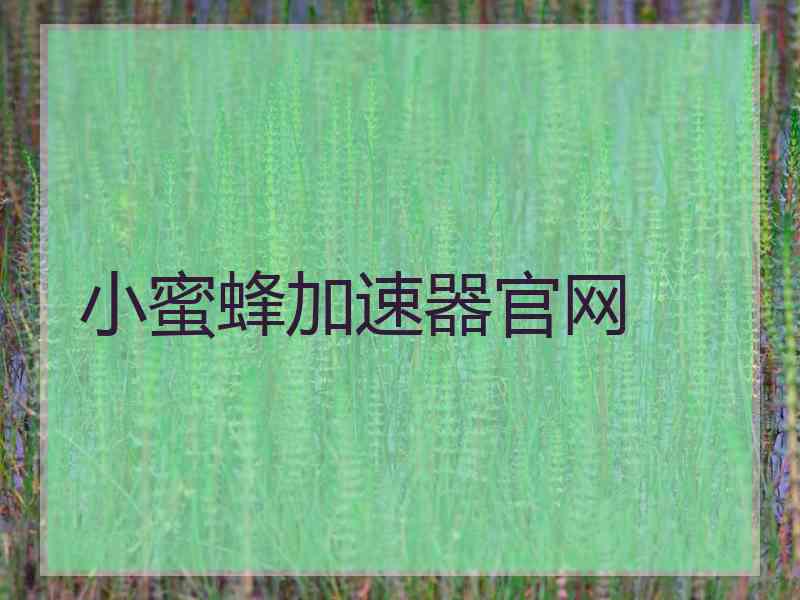 小蜜蜂加速器官网