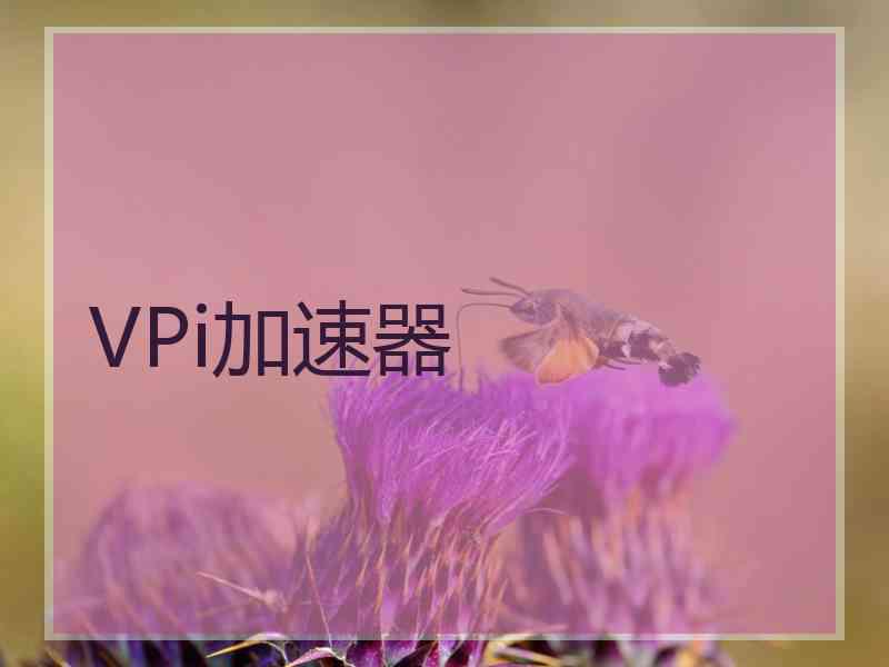 VPi加速器