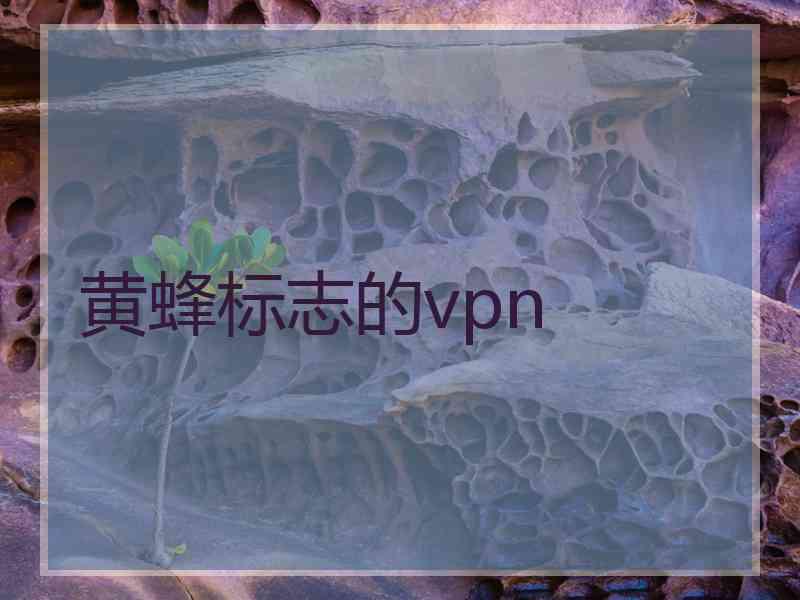 黄蜂标志的vpn