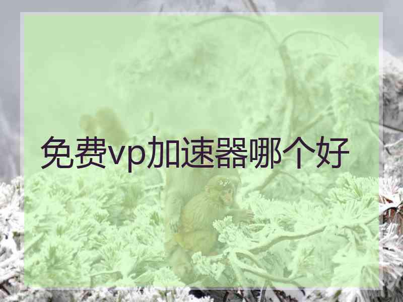 免费vp加速器哪个好