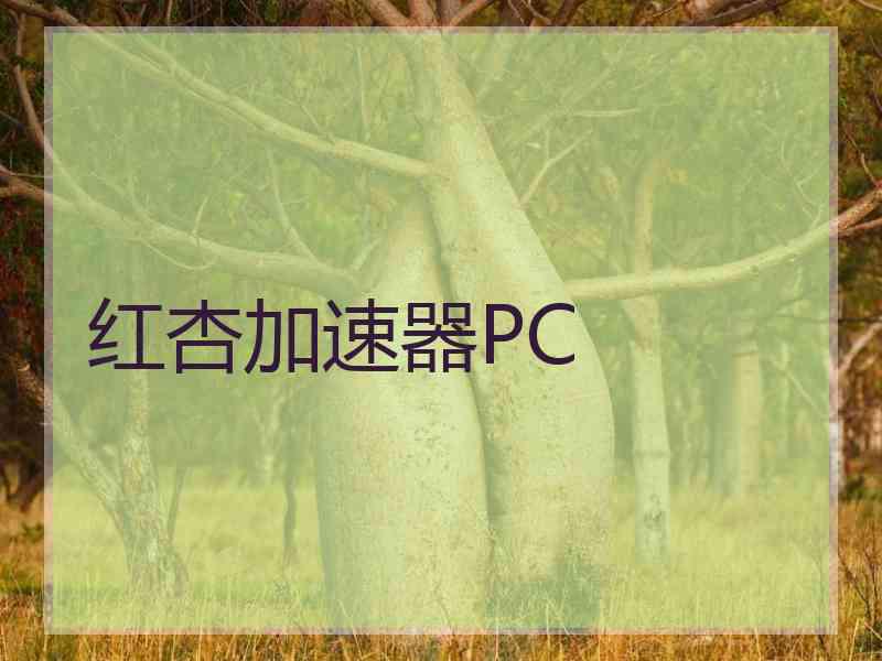 红杏加速器PC