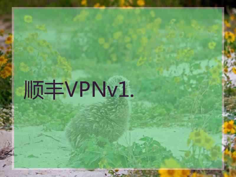 顺丰VPNv1.