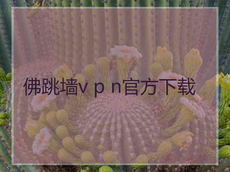 佛跳墙v p n官方下载