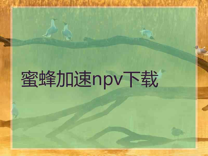 蜜蜂加速npv下载