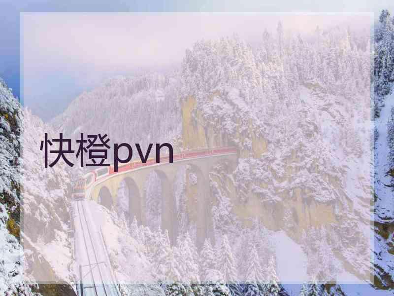 快橙pvn