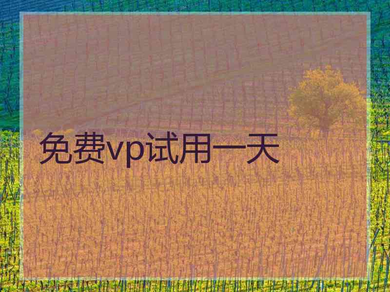 免费vp试用一天