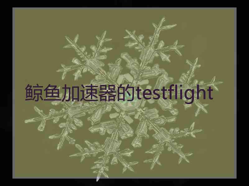 鲸鱼加速器的testflight