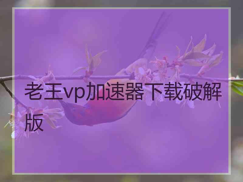 老王vp加速器下载破解版