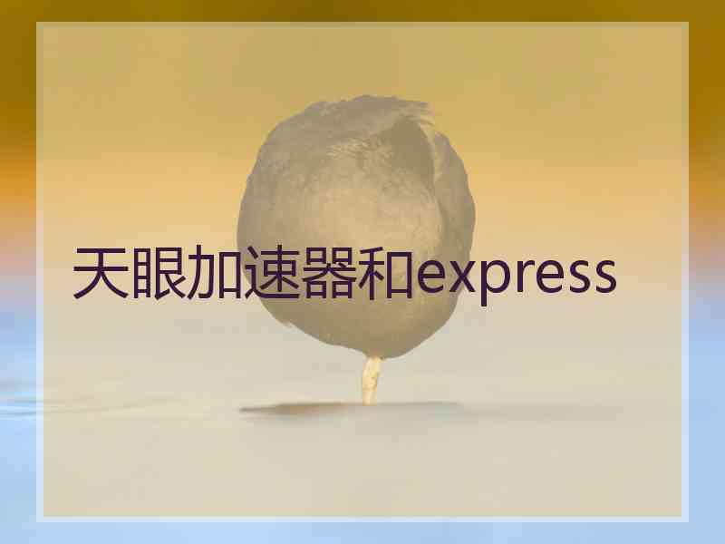 天眼加速器和express