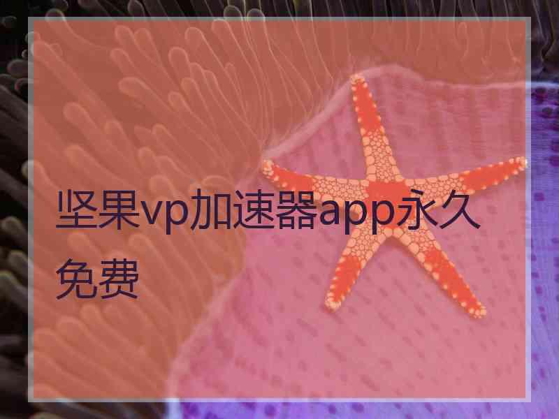 坚果vp加速器app永久免费