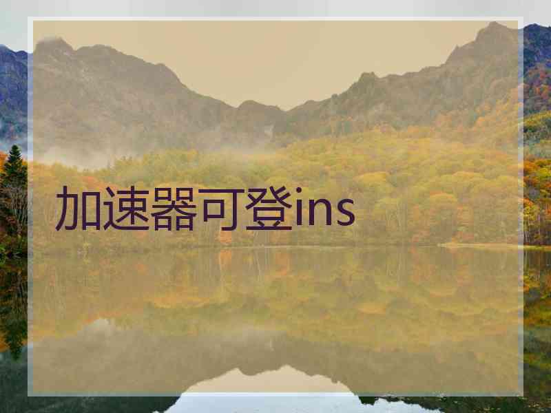 加速器可登ins