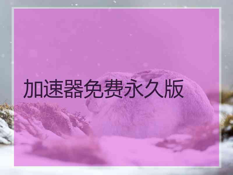 加速器免费永久版