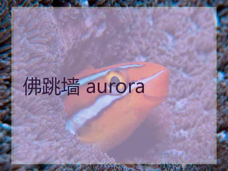 佛跳墙 aurora