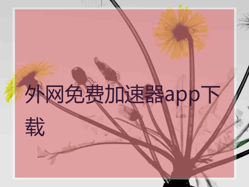 外网免费加速器app下载