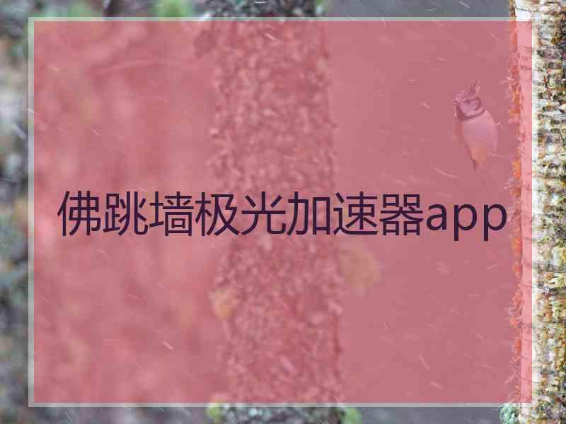 佛跳墙极光加速器app