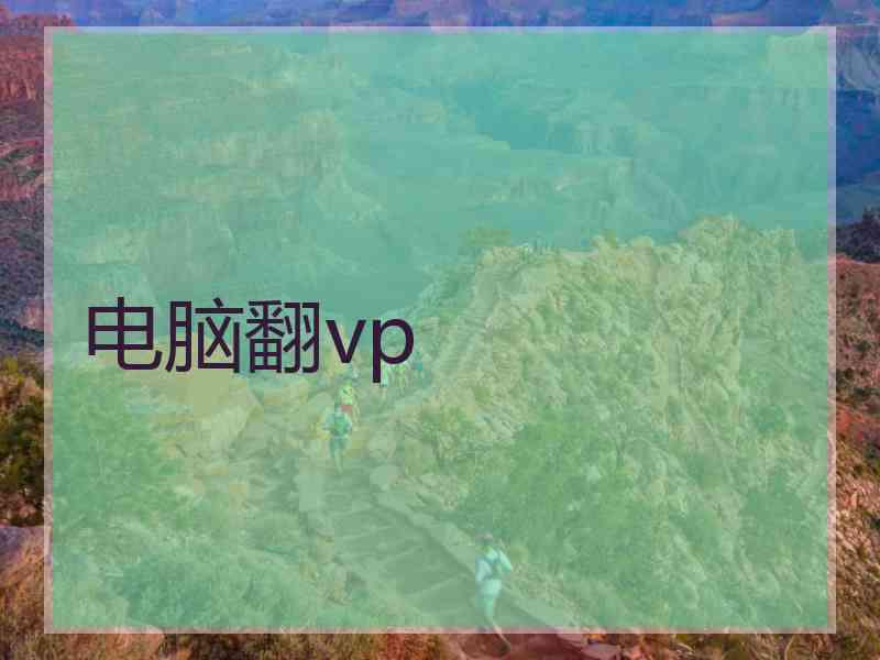 电脑翻vp