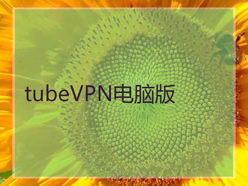 tubeVPN电脑版