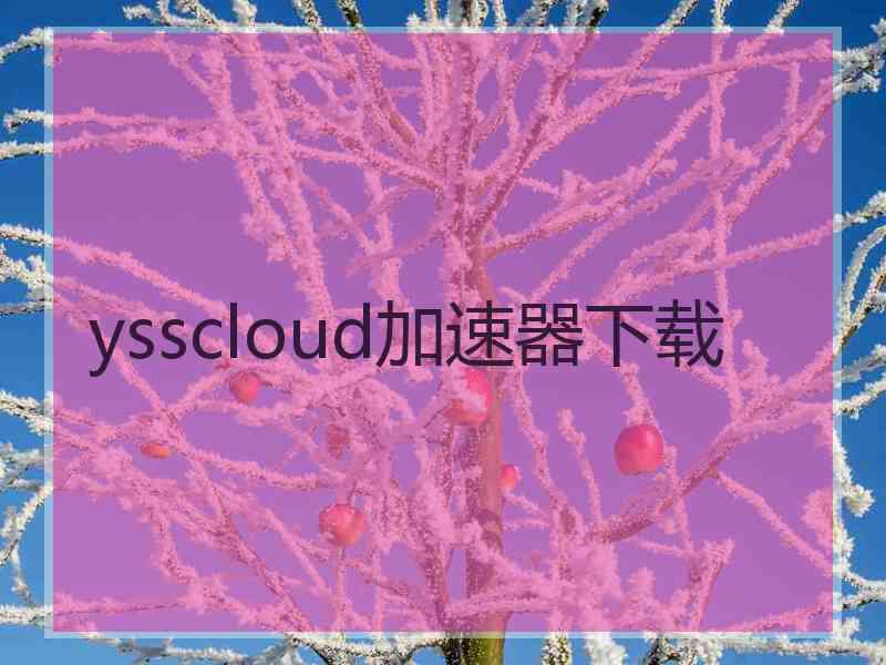 ysscloud加速器下载