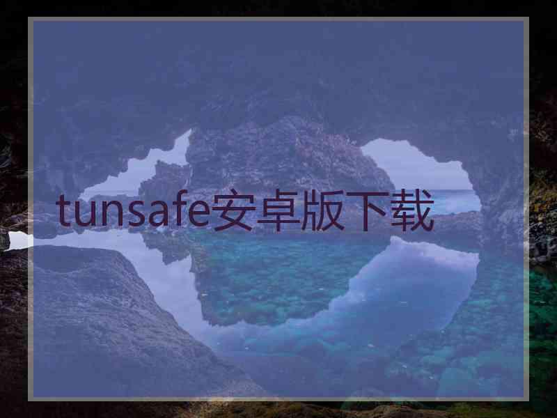 tunsafe安卓版下载