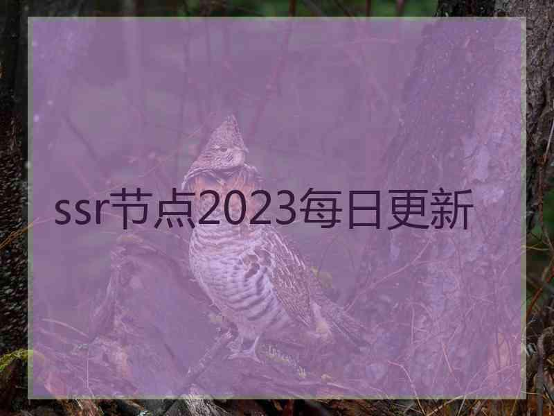 ssr节点2023每日更新