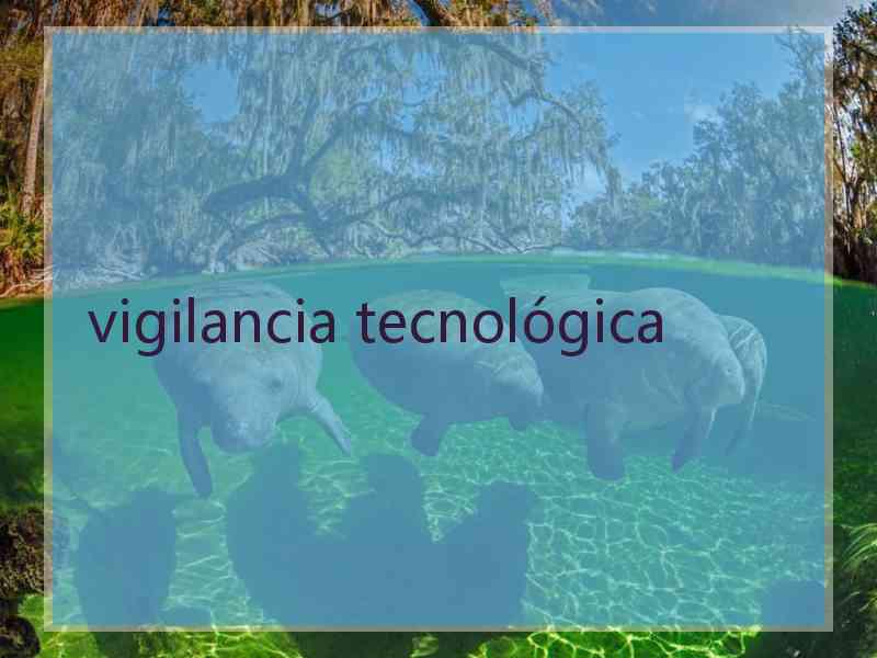 vigilancia tecnológica