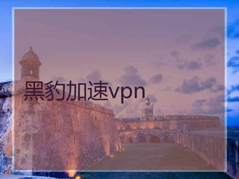 黑豹加速vpn