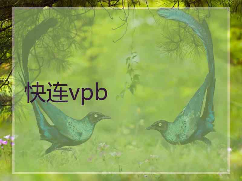 快连vpb