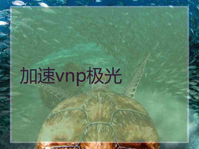 加速vnp极光