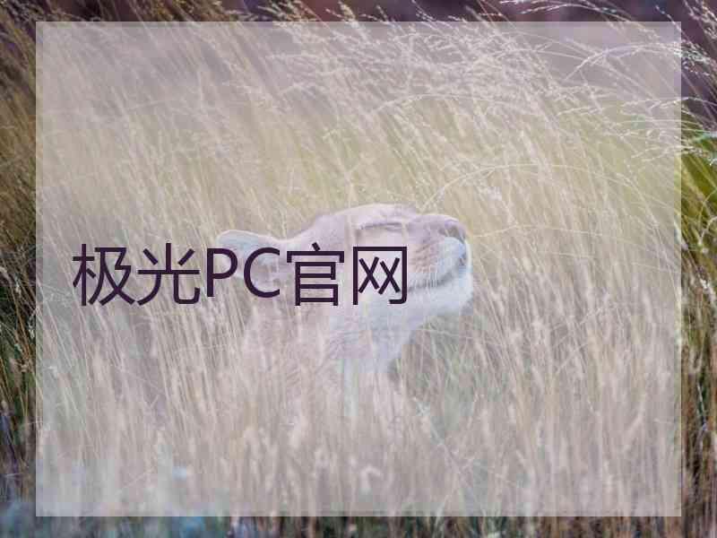 极光PC官网