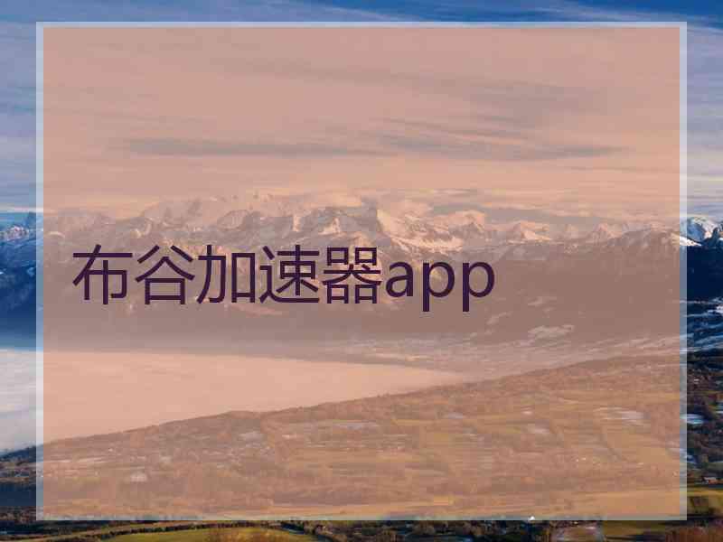 布谷加速器app