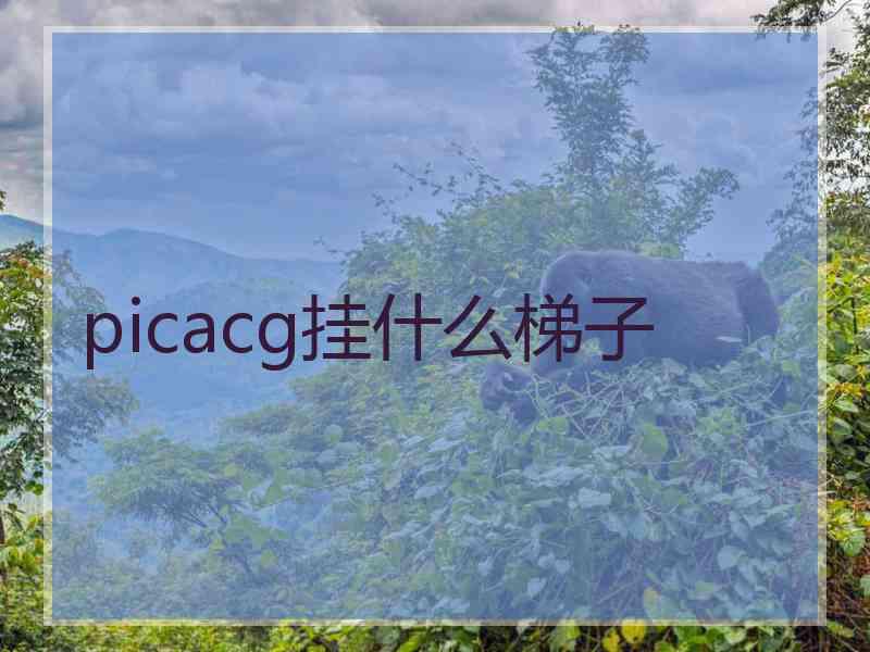 picacg挂什么梯子