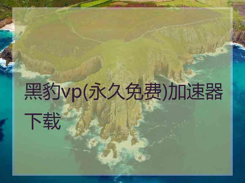 黑豹vp(永久免费)加速器下载