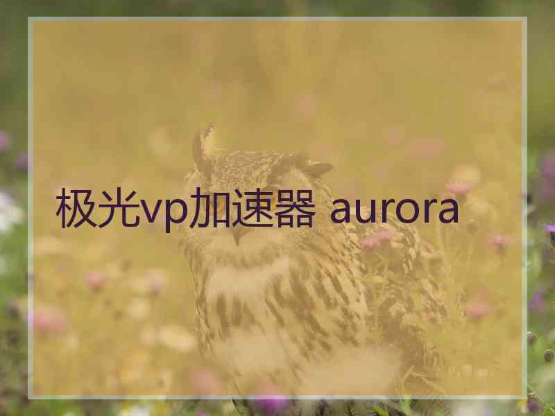 极光vp加速器 aurora