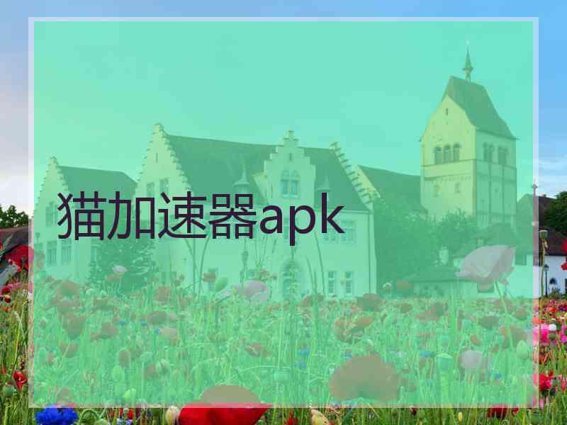 猫加速器apk