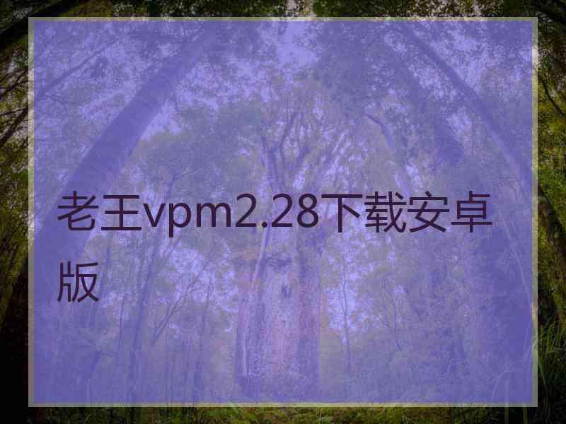 老王vpm2.28下载安卓版