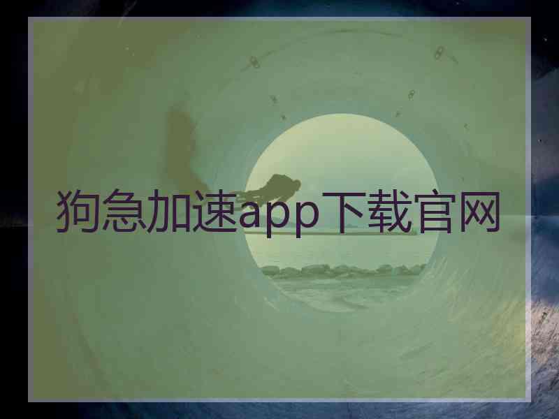 狗急加速app下载官网