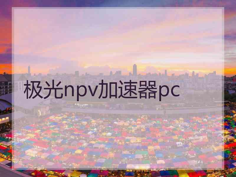 极光npv加速器pc