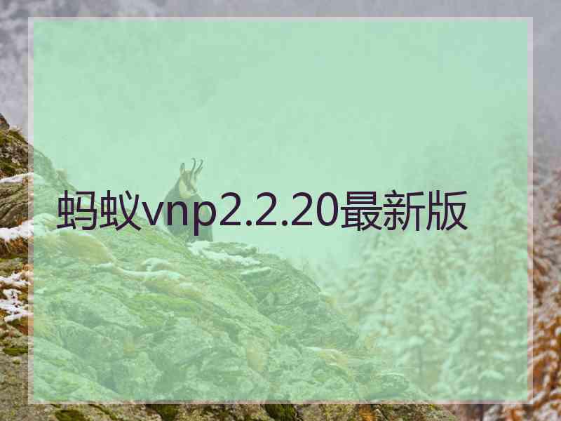 蚂蚁vnp2.2.20最新版