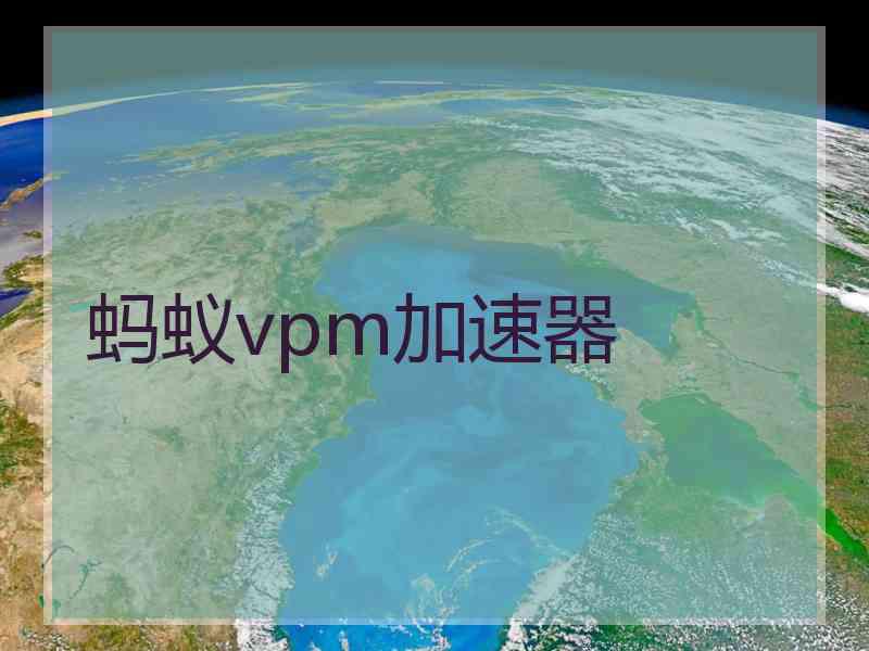 蚂蚁vpm加速器